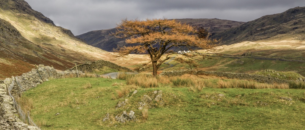 Sun Breaking Through