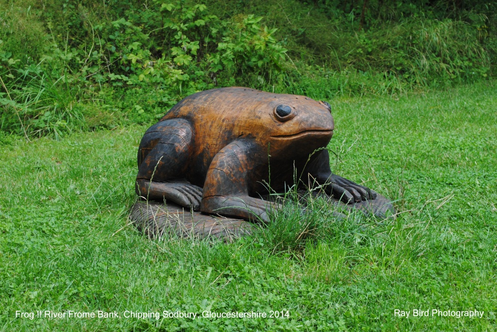 Carved Frog on River Frome Bank, Chipping Sodbury, Gloucestershire 2014