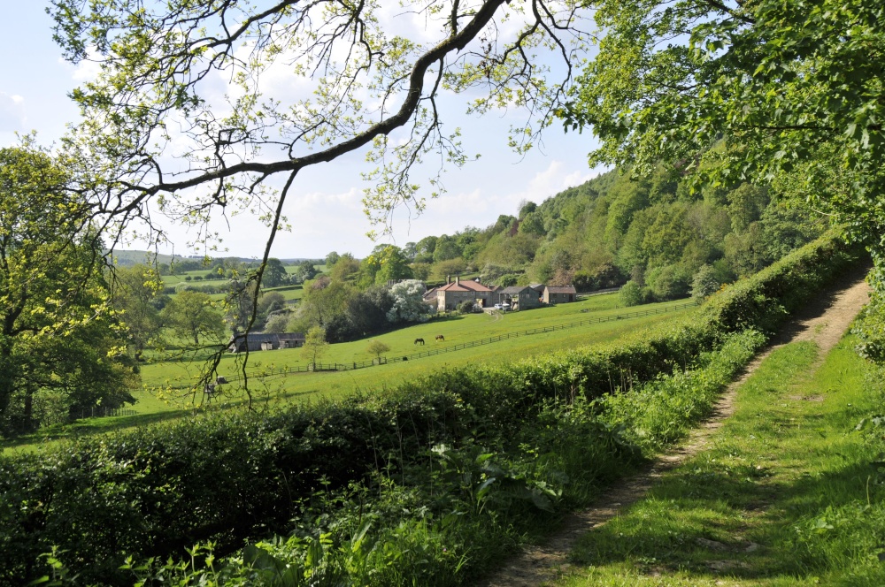 Sleightholmedale, Fadmoor, North Yorkshire