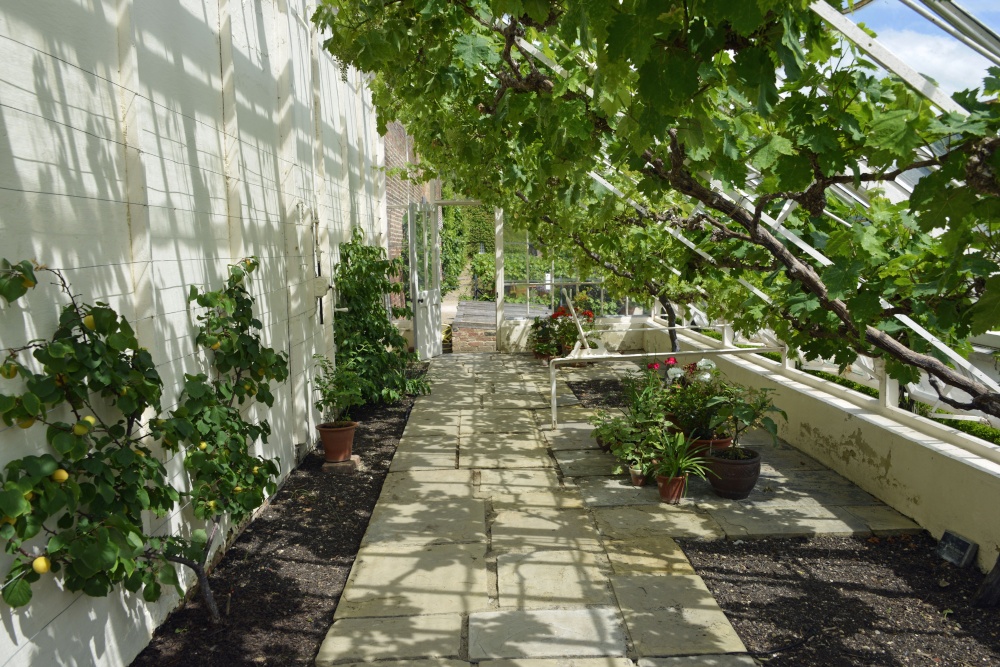 Beningborough Hall Garden Orangery photo by Paul V. A. Johnson