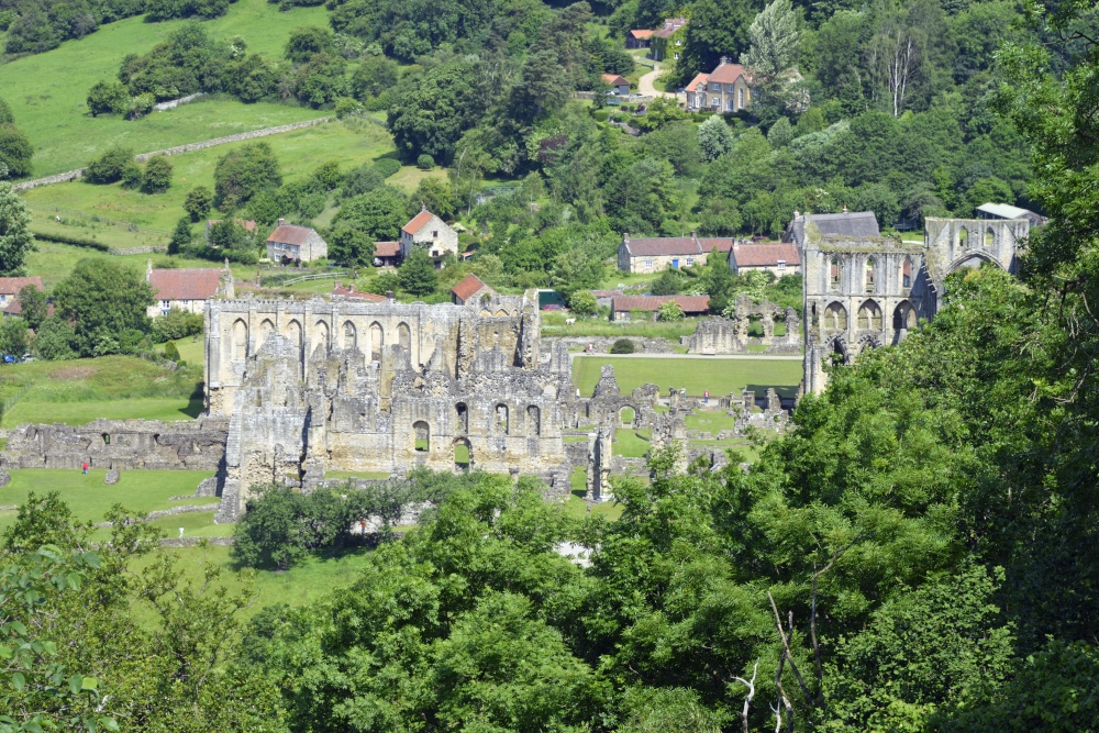 Rievaulx Abbey from the Terrace