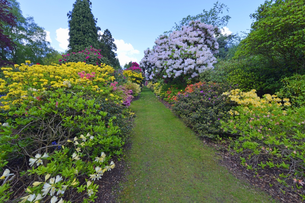 Stody Lodge Garden photo by Paul V. A. Johnson