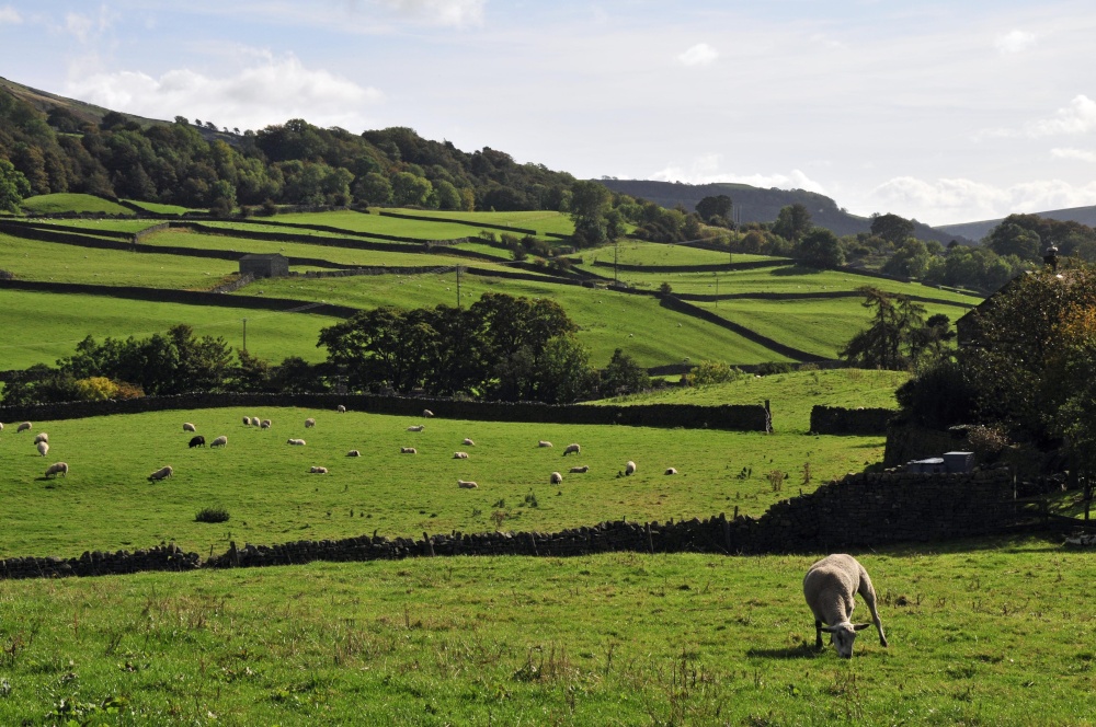Swaledale, North Yorkshire