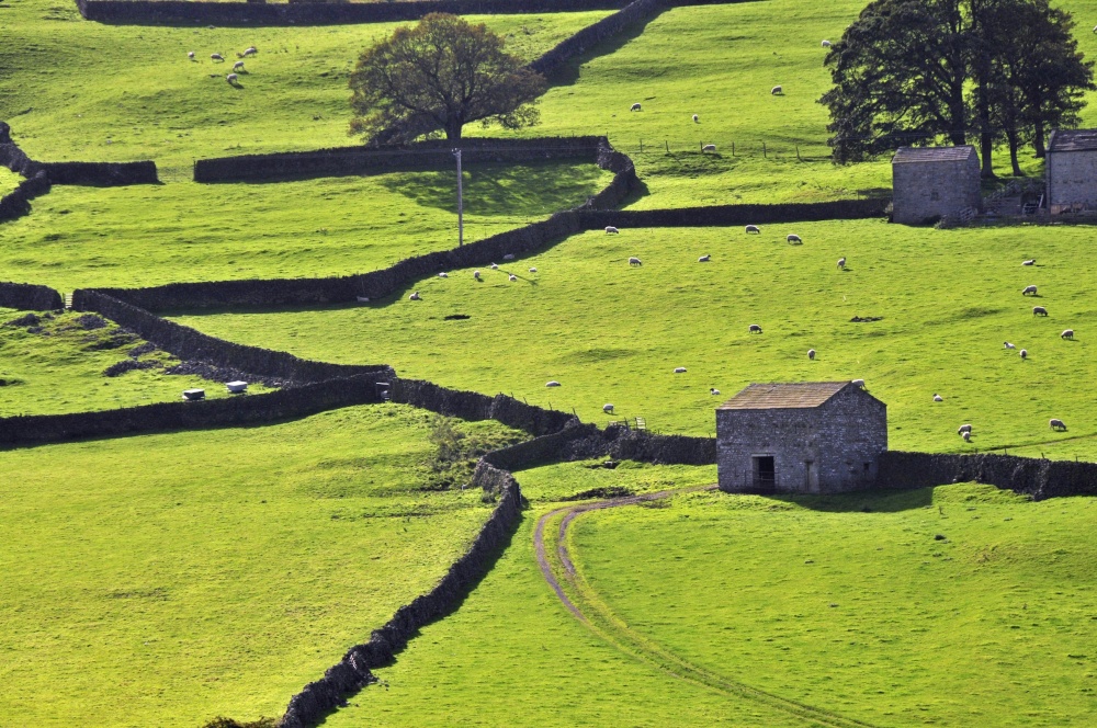 Swaledale, North Yorkshire
