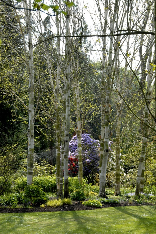 Beningborough Hall Garden