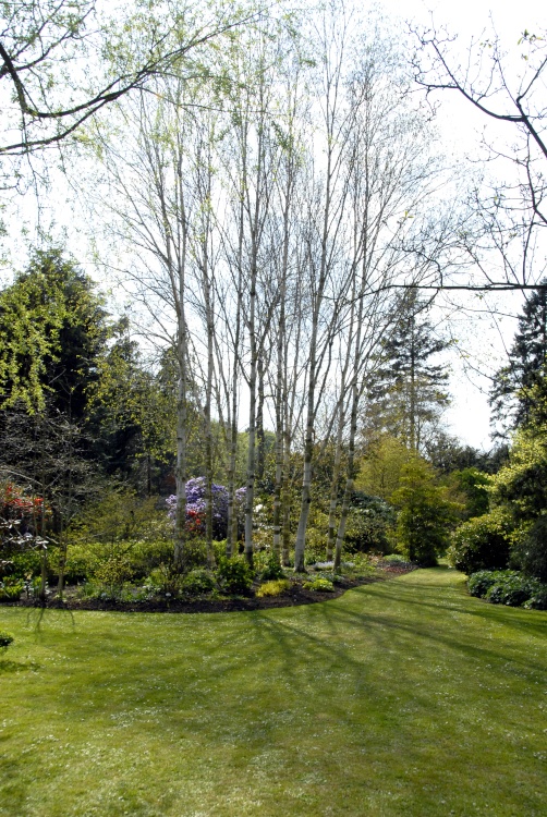 Beningborough Hall Garden