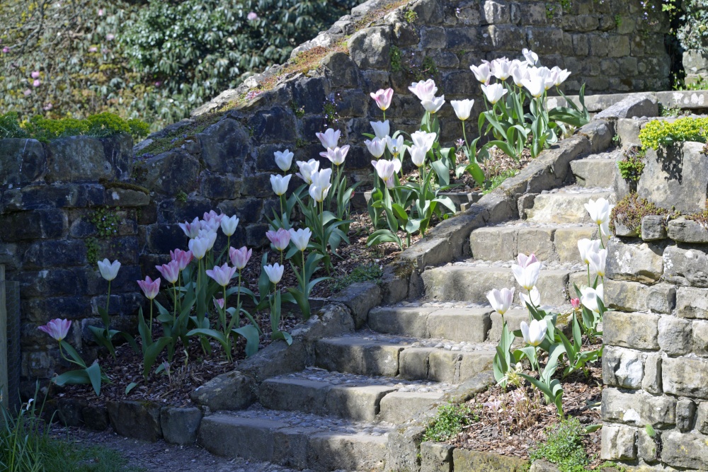 Nymans House and Garden
