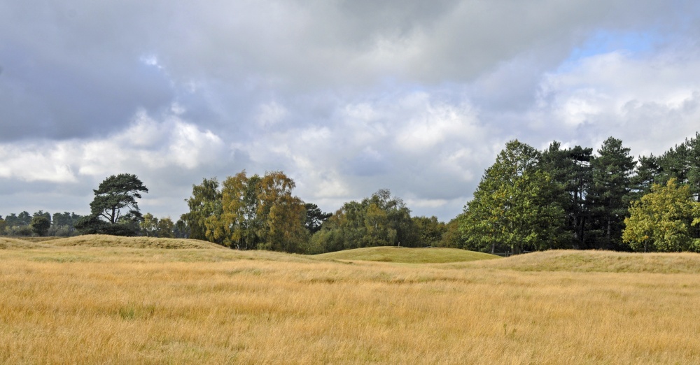 Sutton Hoo Buriel Ground, Suffolk