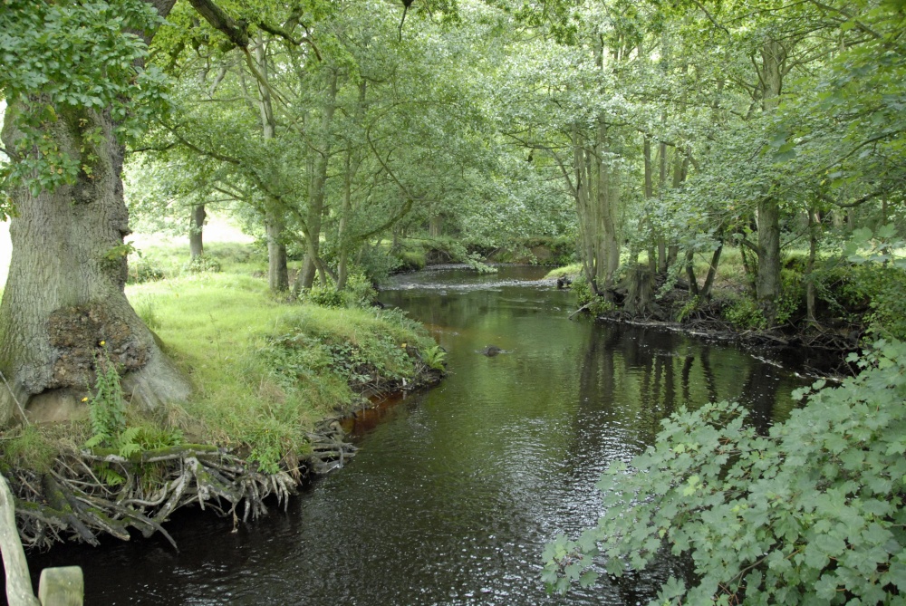 Sleightholmedale, Fadmoor, North Yorkshire