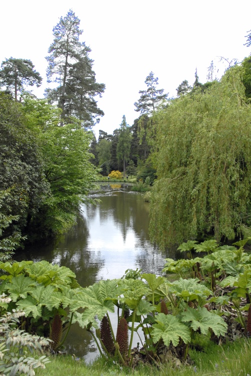 Leonardslee Garden, West Sussex