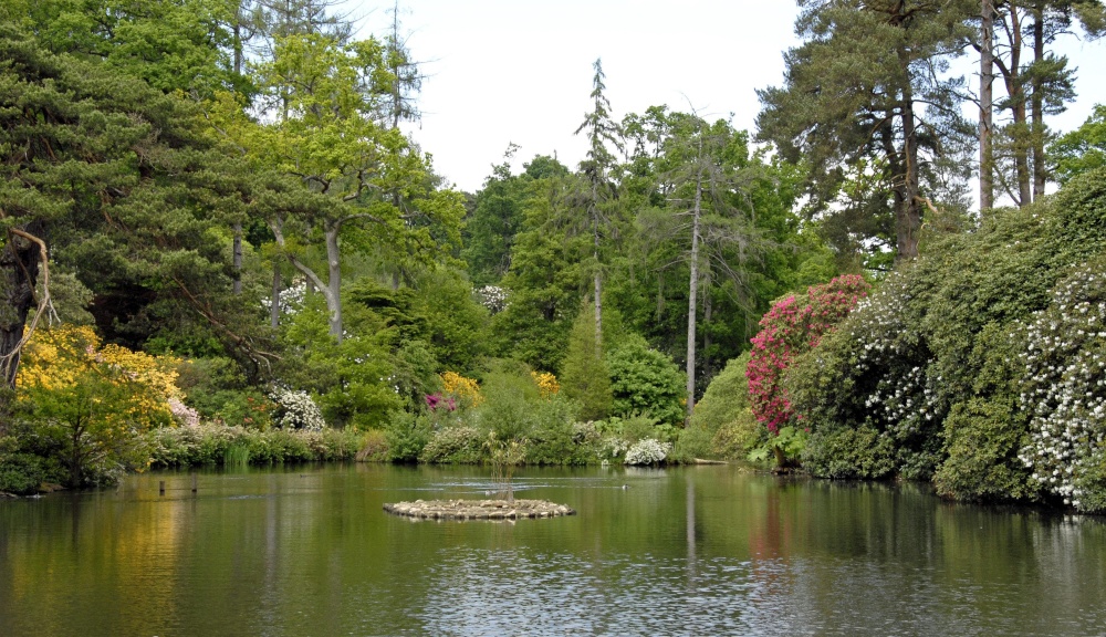 Leonardslee Garden, West Sussex