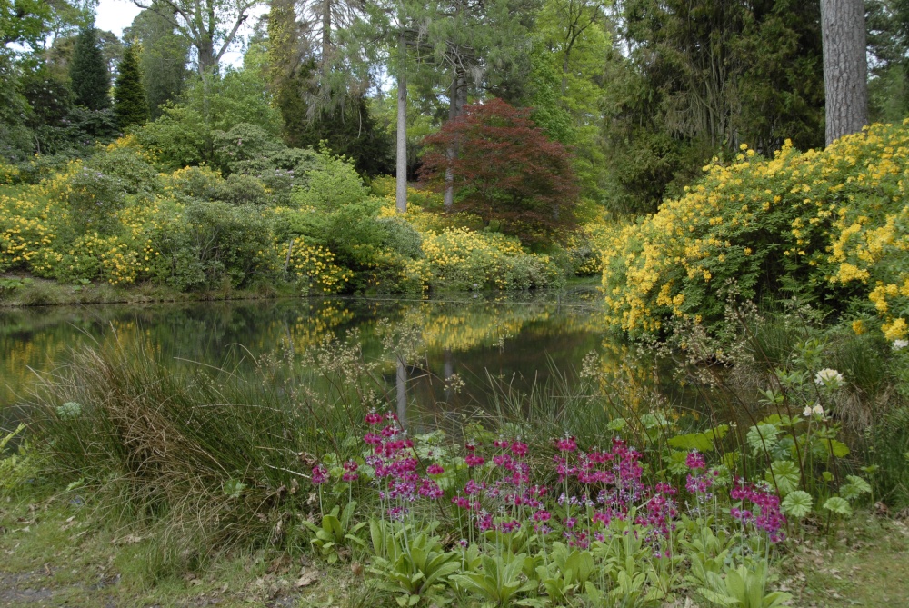 Leonardslee Garden, West Sussex