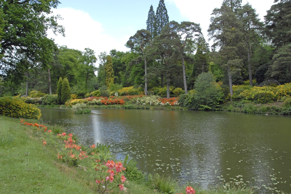 Leonardslee Garden, West Sussex