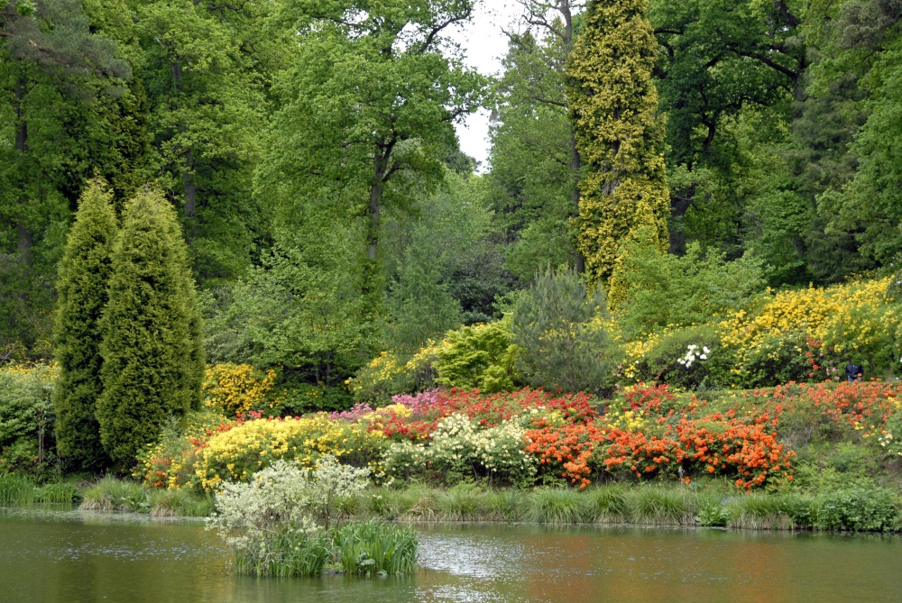 Leonardslee Garden, West Sussex