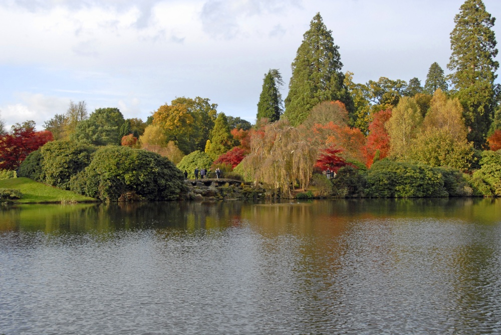 Sheffield Park Garden, Uckfield