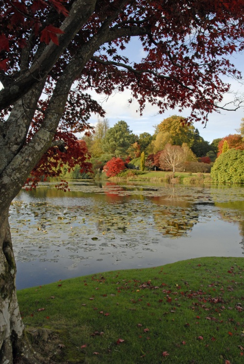 Sheffield Park Garden, Uckfield