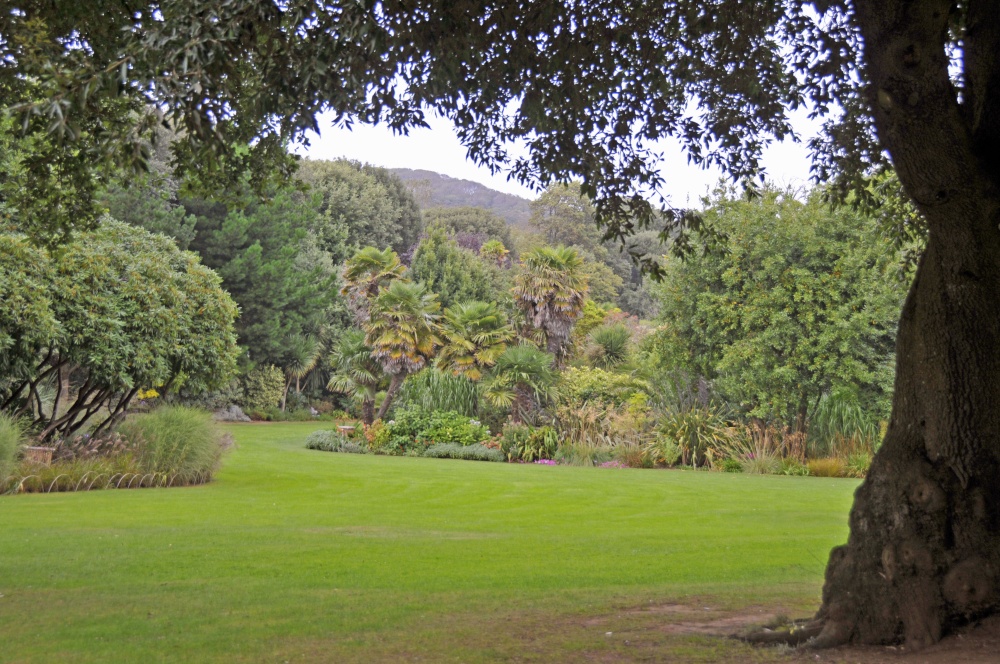 Photograph of Abbotsbury Tropical Garden