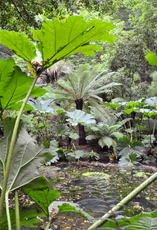 Abbotsbury Tropical Garden