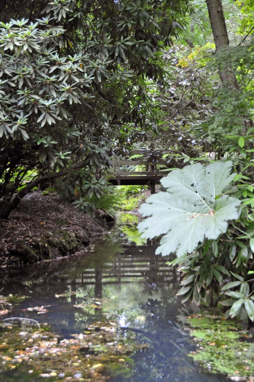 Abbotsbury Tropical Garden