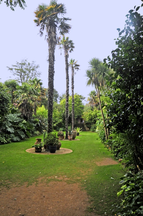 Abbotsbury Tropical Garden