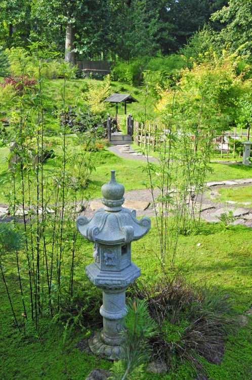 Kingston Lacy Garden