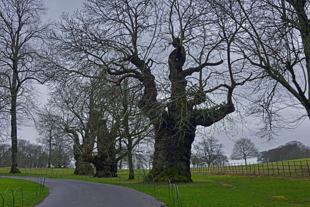Stourhead Grounds, Wiltshire