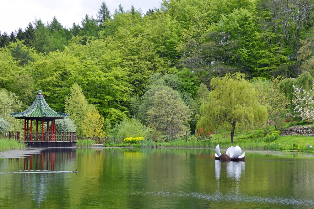 Himalayan Garden and Sculpture Park, near Ripon