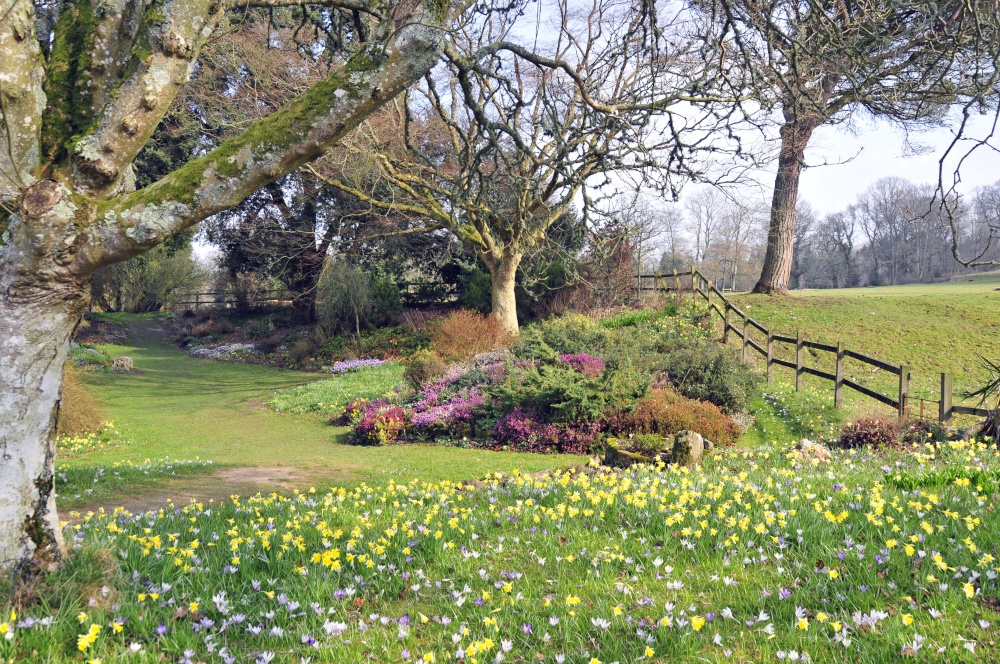 Forde Abbey, Somerset