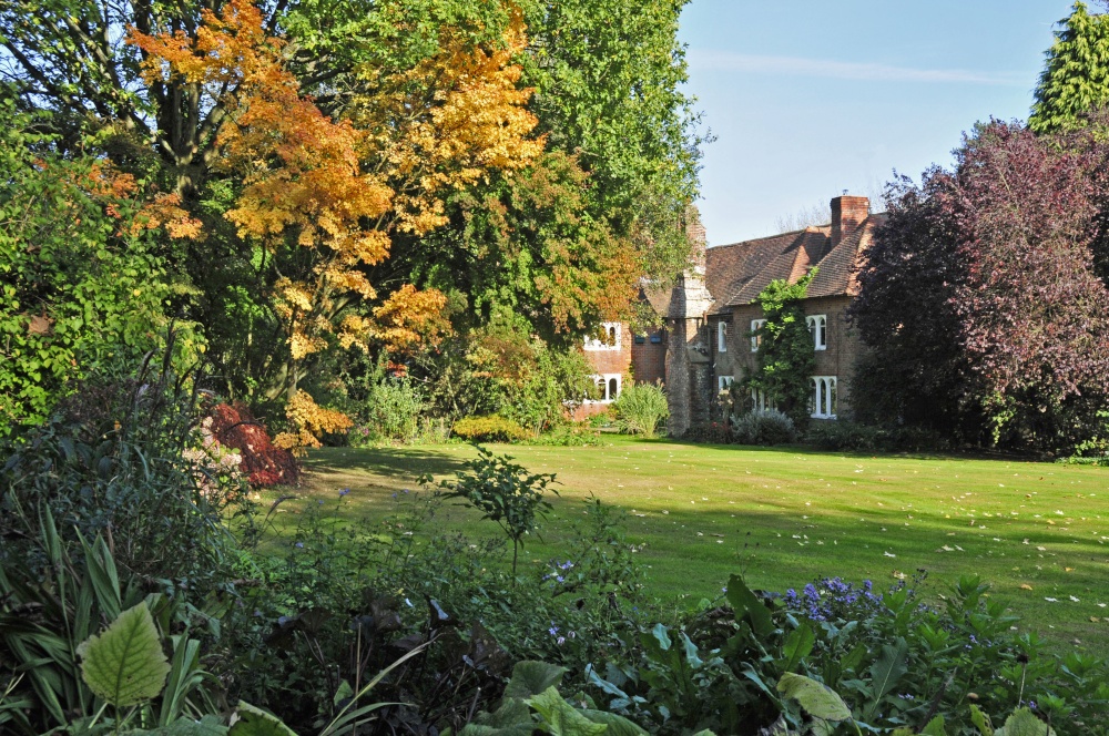 Beech Court Garden