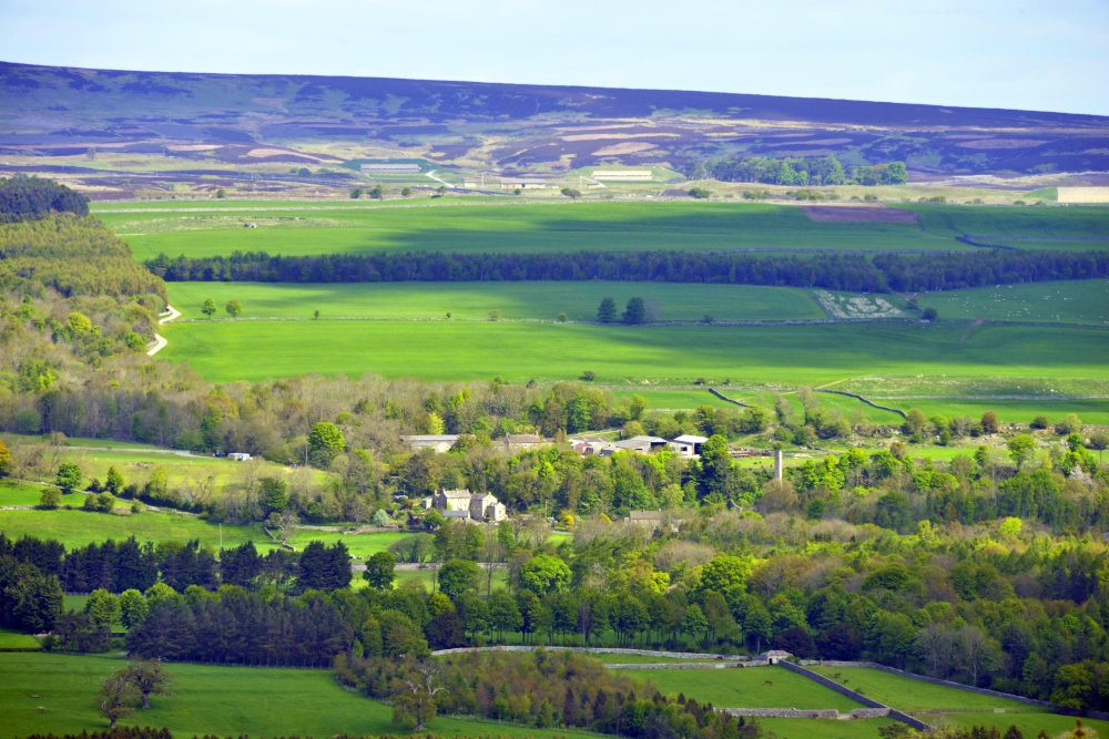 Wensleydale near Leyburn