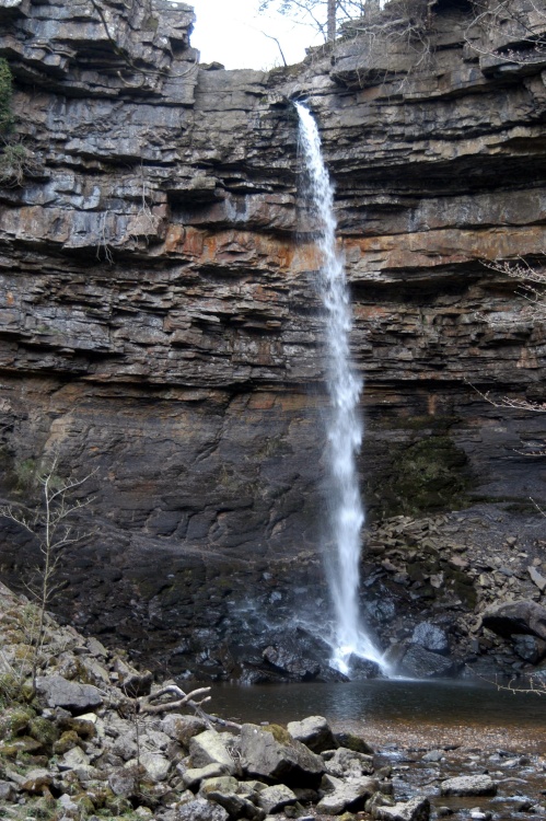 Hardraw Force