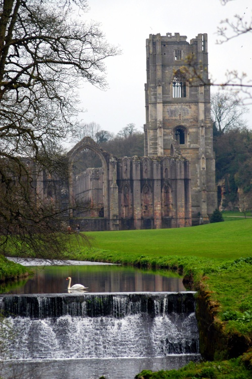 Fountains Abbey, Ripon