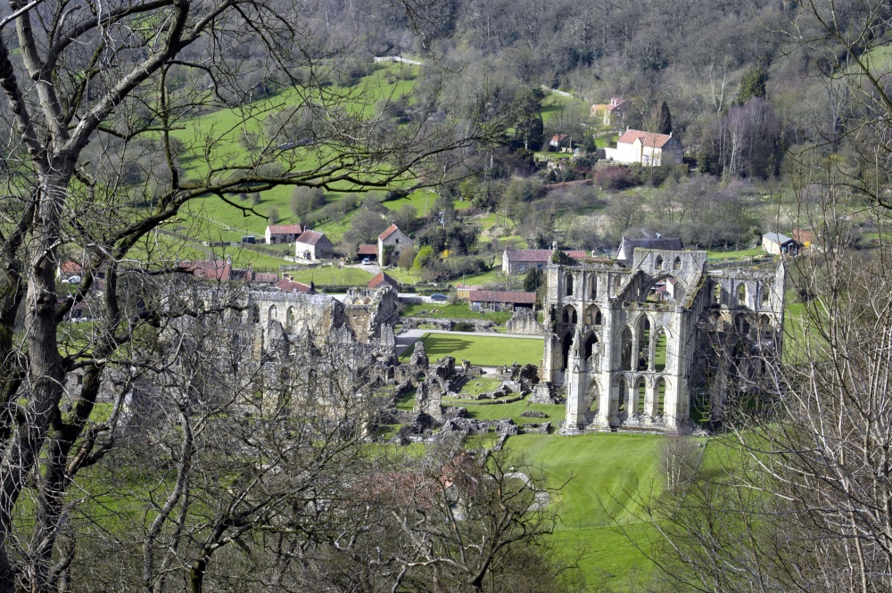 Rievaulx Abbey from the Terrace