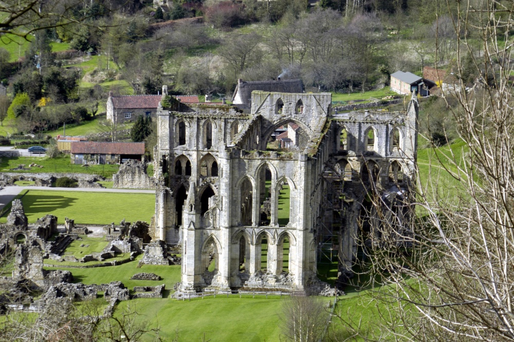 Rievaulx Abbey from the Terrace