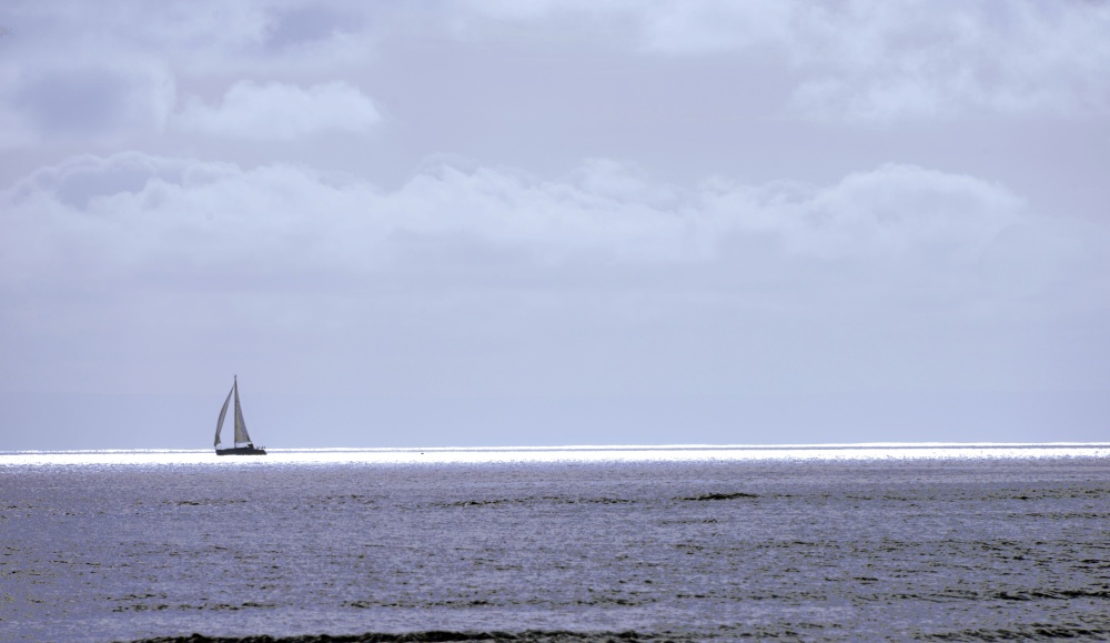 Swansea Bay, Lone Sailor