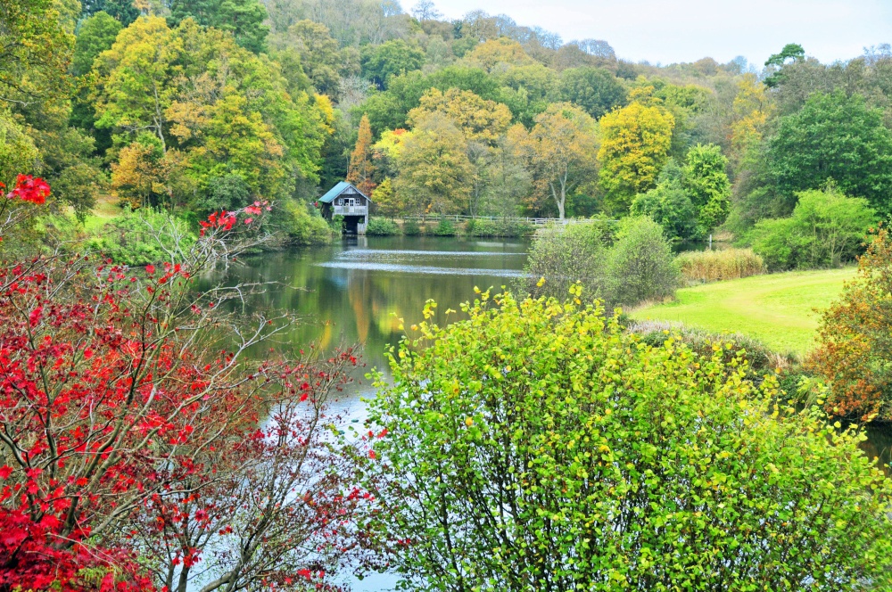 Winkworth Arboretum, Surrey photo by Paul V. A. Johnson