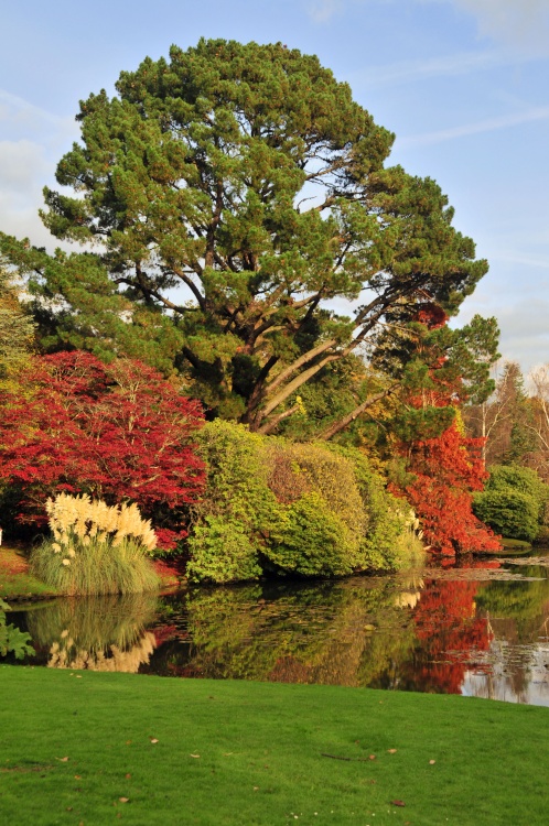 Sheffield Park Garden, Uckfield