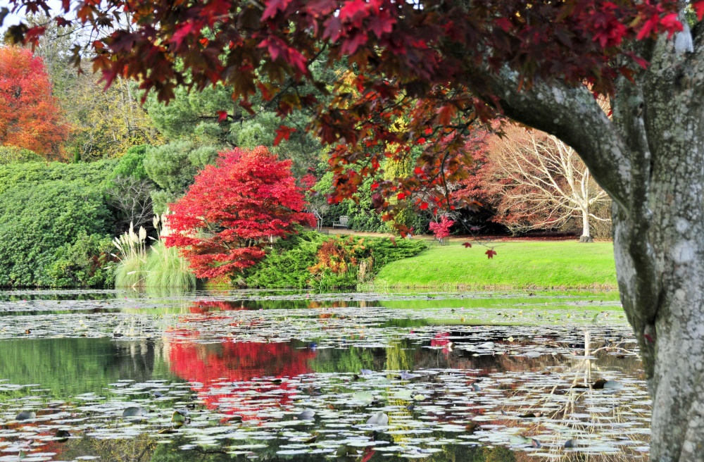 Sheffield Park Garden, Uckfield