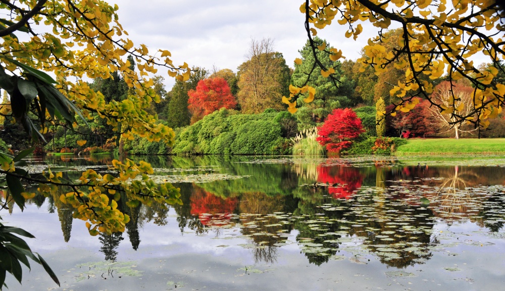 Sheffield Park Garden, Uckfield