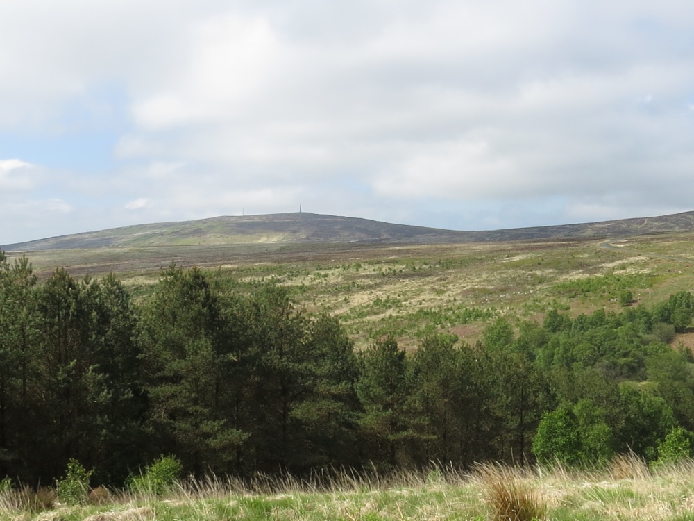 Photograph of LANGHOLM MONUMENT TO GENERAL SIR JOHN MALCOLM ERECTED 1835