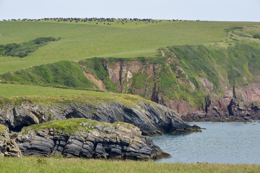 Broad Haven Coast, Bosherton