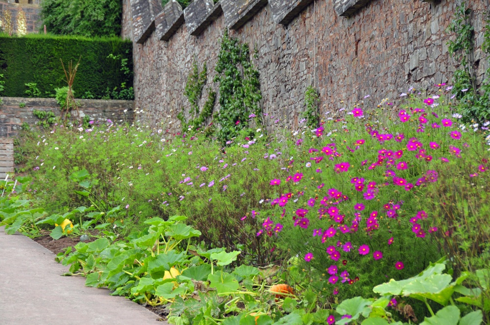 Garden at Knightshayes, Tiverton