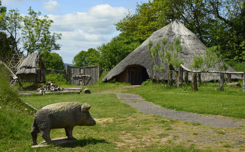 Photograph of Cinderbury Iron Age Village