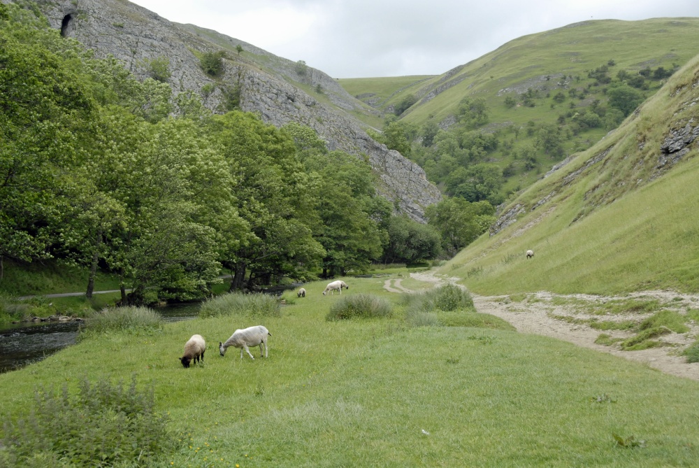 Dovedale, Derbyshire