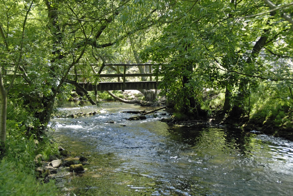 River Dove in Dovedale
