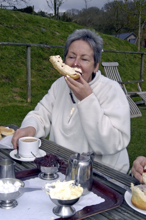 Cream tea at Tarr Steps
