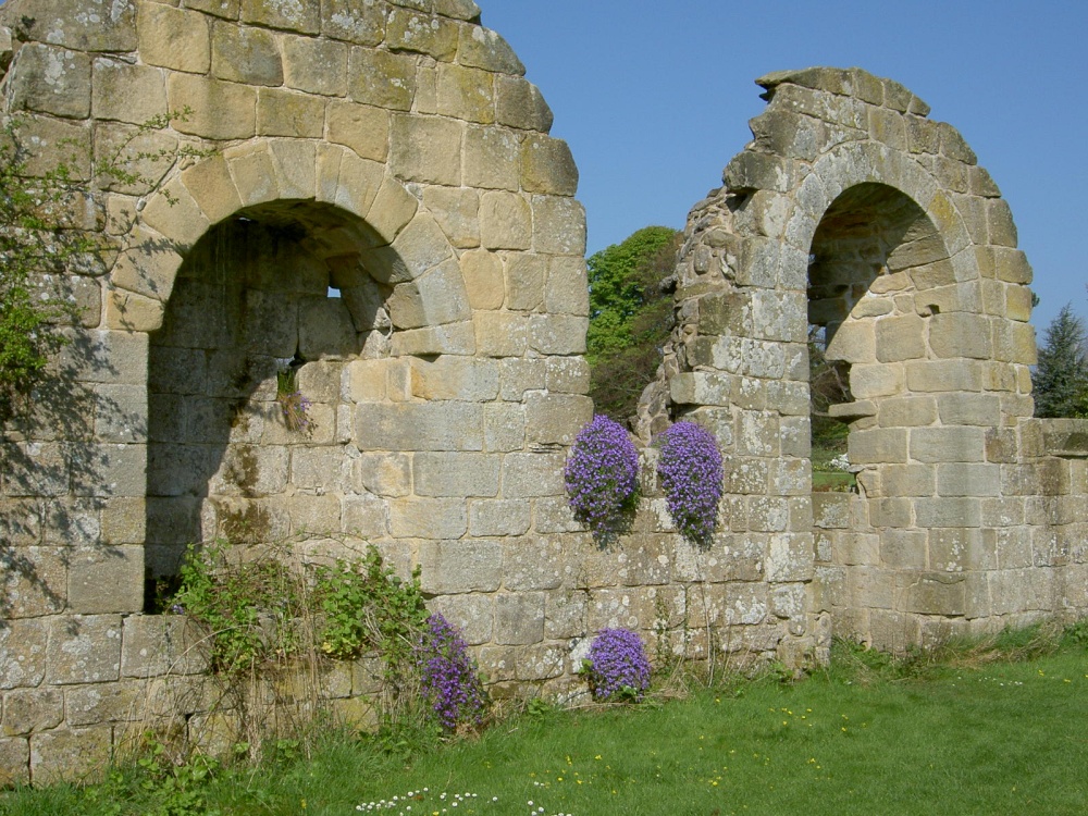 Jervaulx Abbey