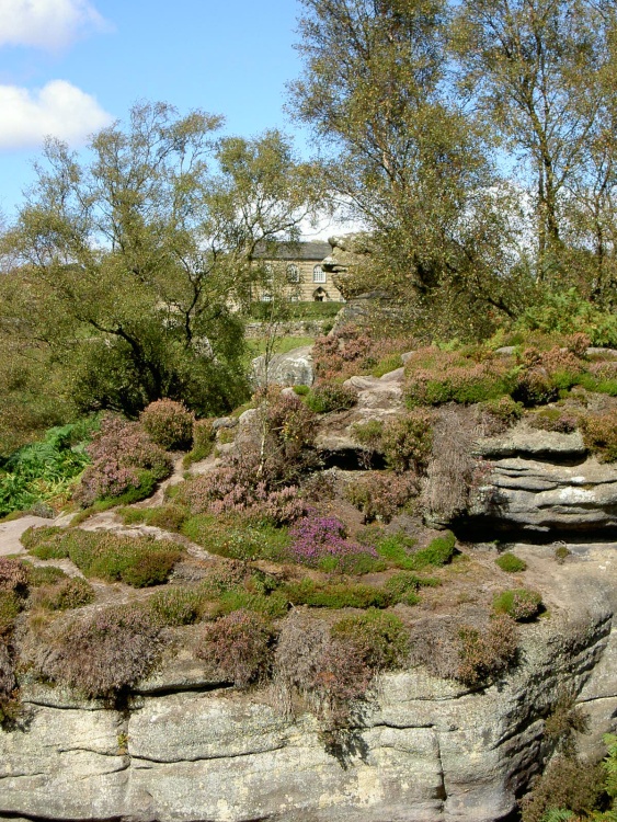 Brimham Rocks