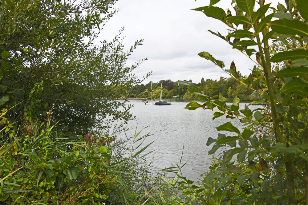 Mote Park, Maidstone