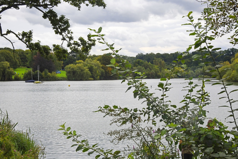 Mote Park, Maidstone